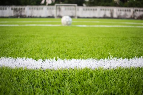 best grass for football pitch